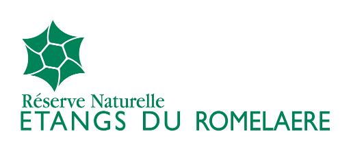 rnn168 logo